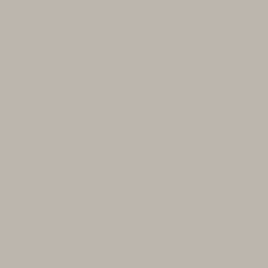 Mindful Gray by Sherwin-Williams