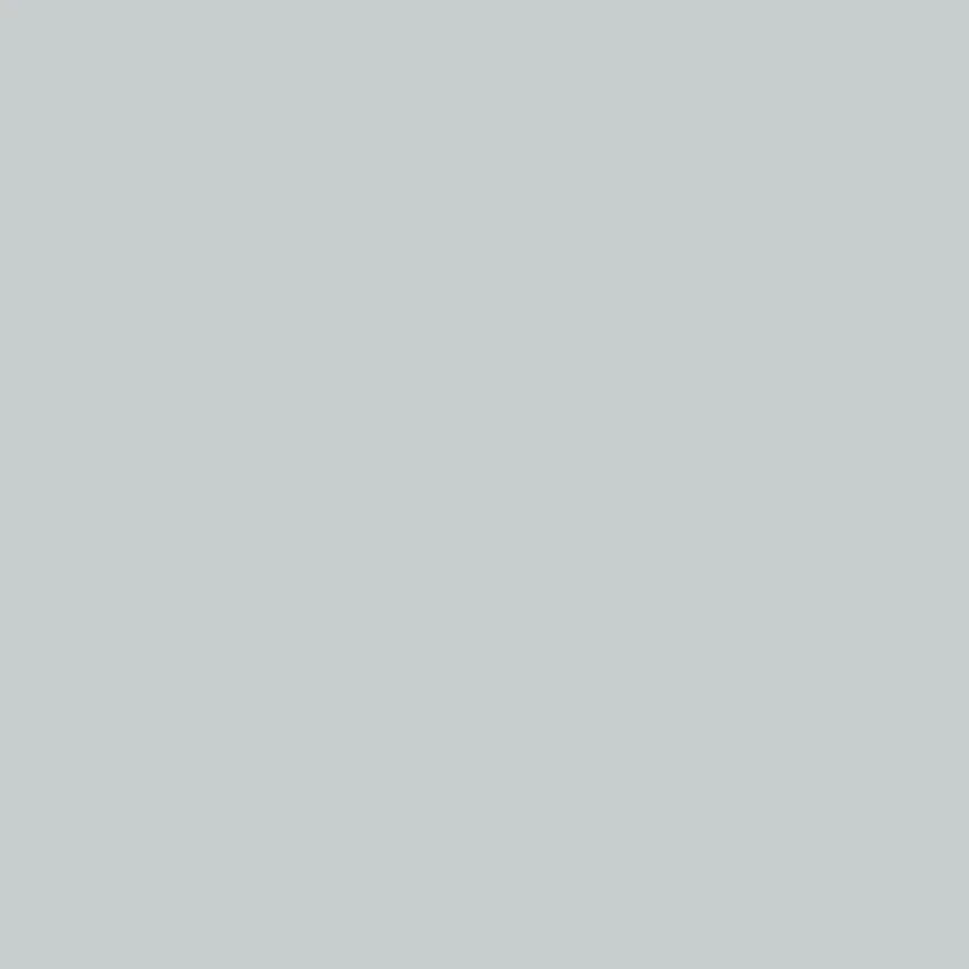 Pebble Beach by Benjamin Moore