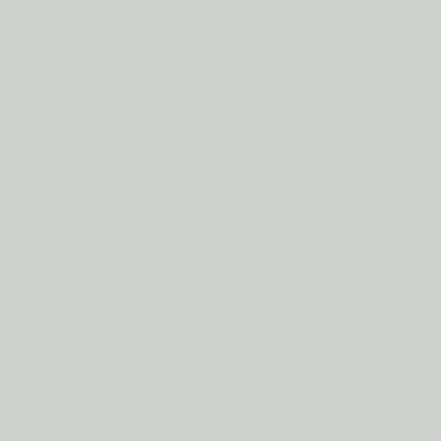 Sherwin-Williams Sea Salt