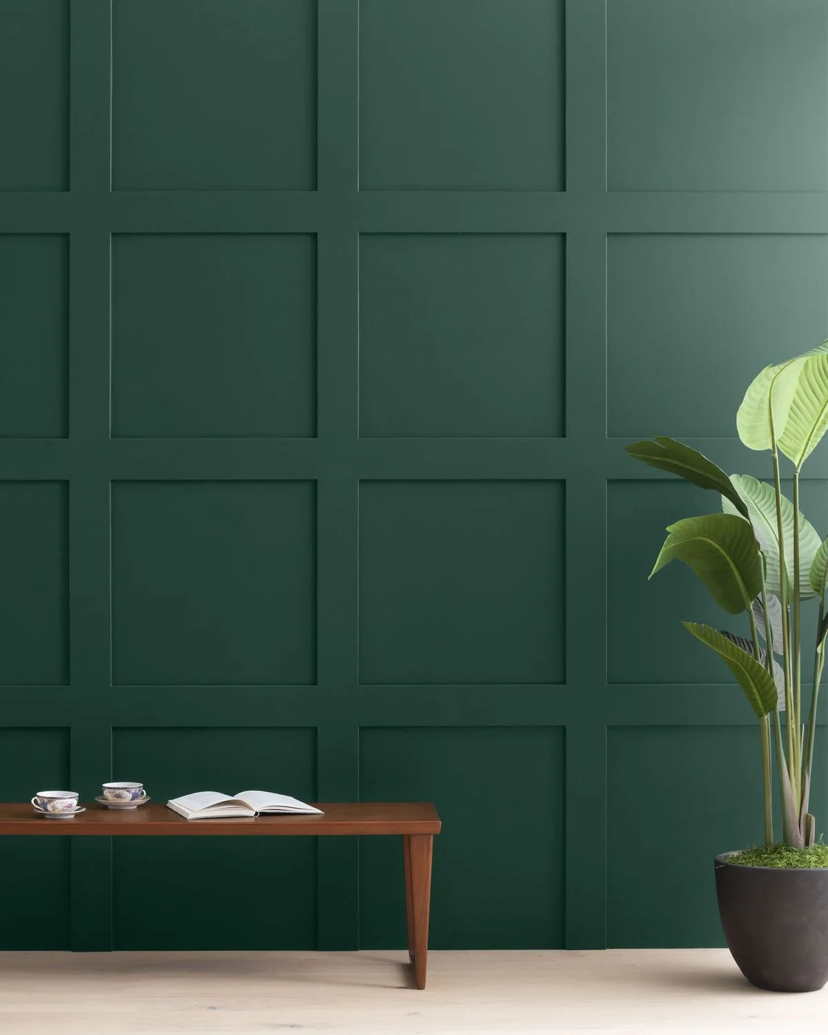 Color Inspiration