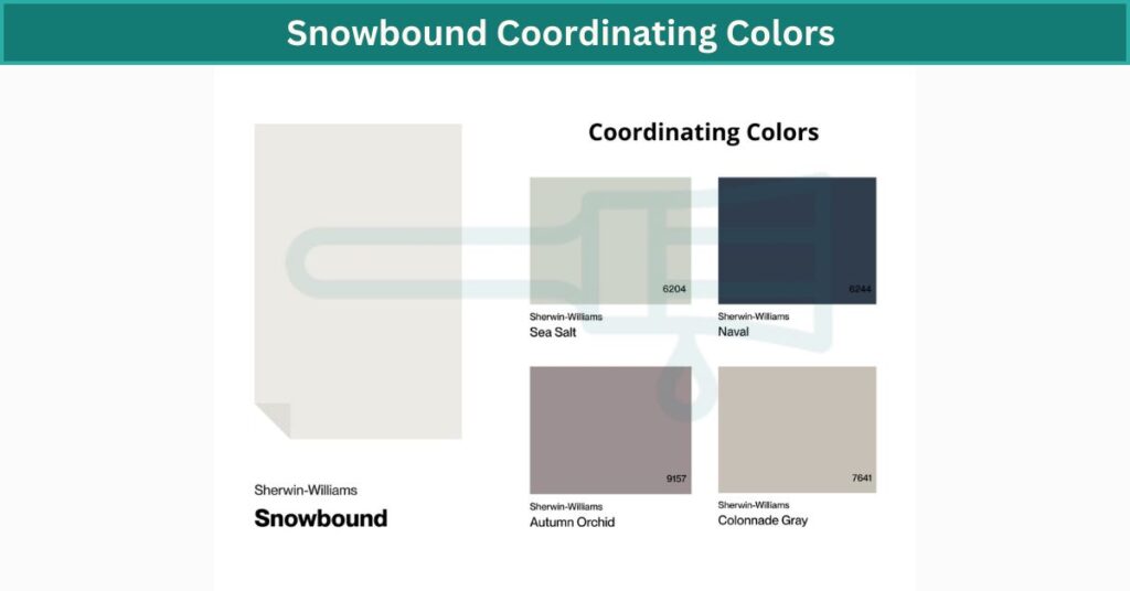 Snowbound Coordinating Colors