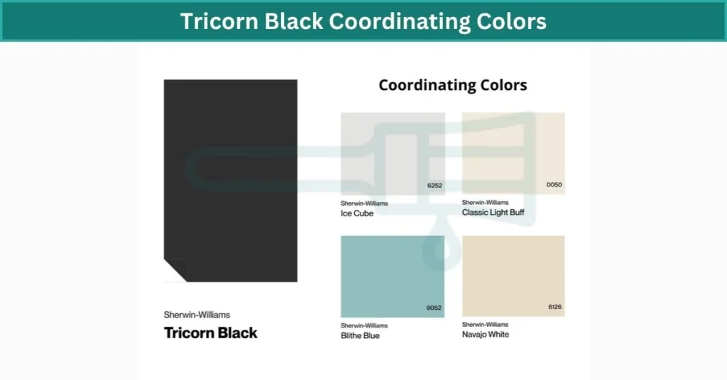 Tricorn Black Coordinating Colors