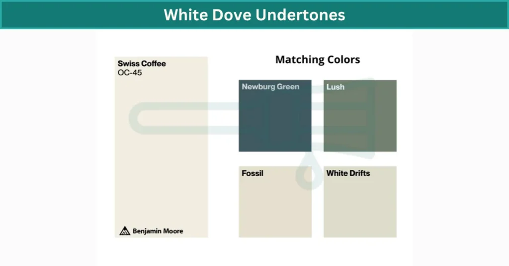 White Dove Undertones