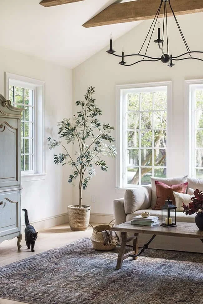 Room Inspiration