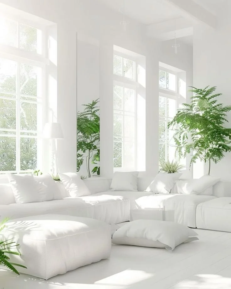 Room Inspiration