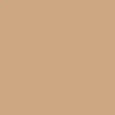 Color Inspiration