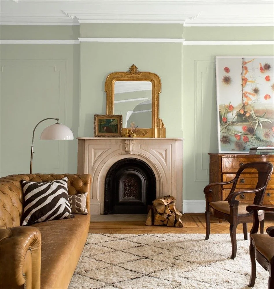 Color Inspiration
