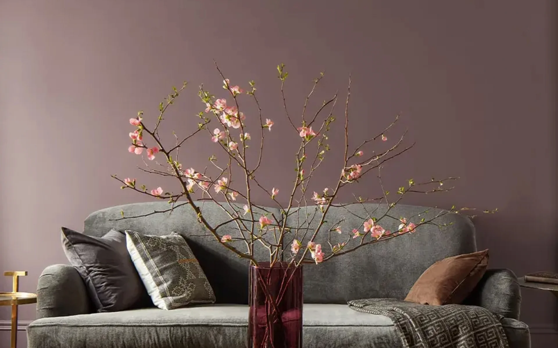 Room Inspiration