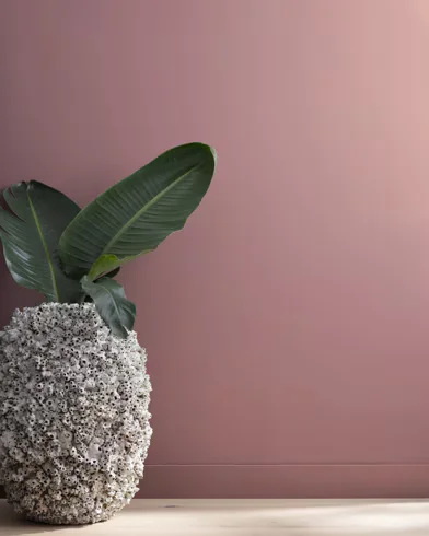 Color Inspiration